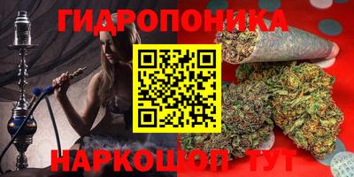каннабис Новокубанск